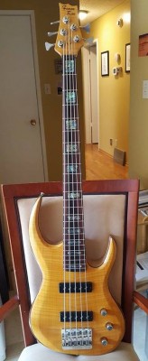 5 String Bass 1.jpg