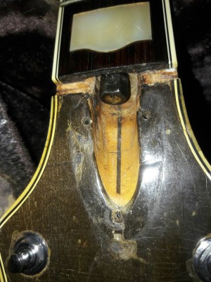 Truss-rod nut and fretboard ... is that inlay original?  How about the binding?  Looks newer than the binding on the headstock.