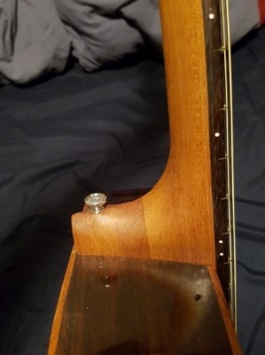 maple rosewood parlor neck.jpg