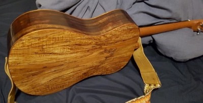 maple rosewood parlor back .jpg