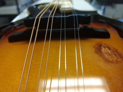 mandolindamage4.jpg