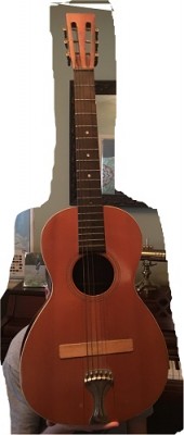 Rion Guitar 3.jpg