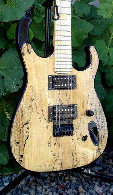 spalted-7.jpg