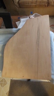 Zither Back Cleaned Up.JPG