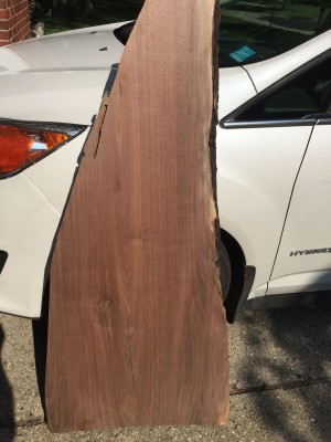 Walnut_Slab 2.JPG