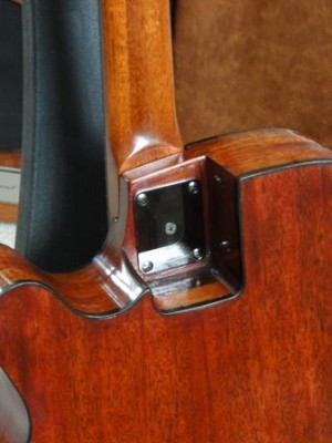 Back detail.JPG