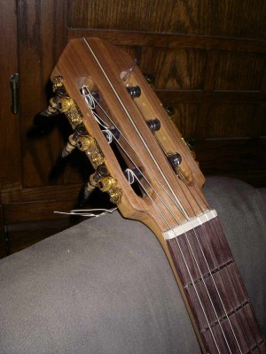 Pine guitar peghead