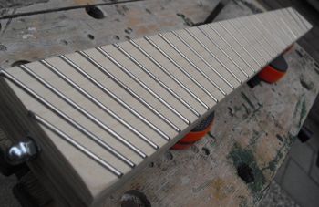 10 - fretted neck.JPG