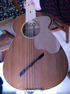 Cardboard pickguard