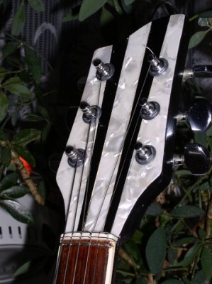 Headstock_MOP_strings.jpg