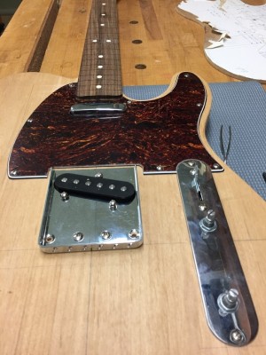 Tele_Dry_Fitting.JPG