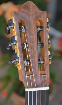 headstock.jpg