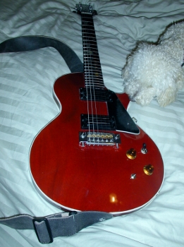 guitar