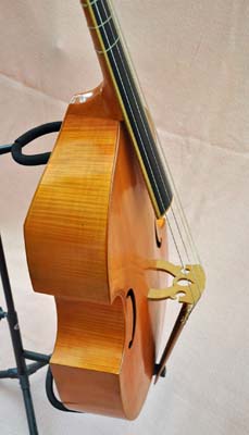 bass viol gen.jpg