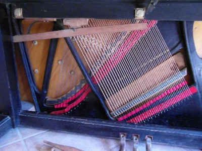 bottom section view of strings.JPG